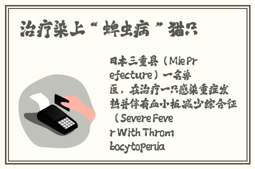 **长征正能量黑料在线